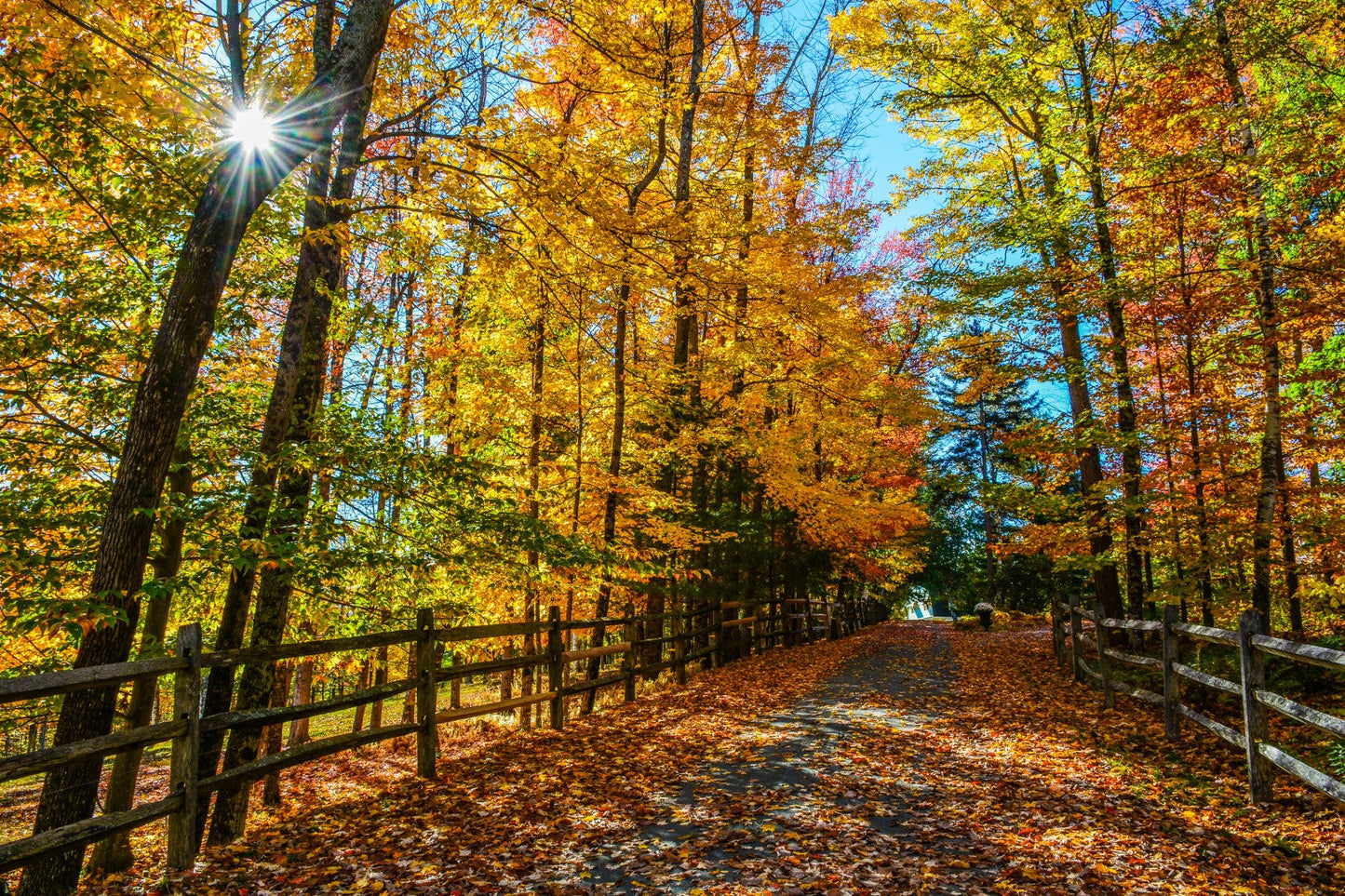New Hampshire Fall 8