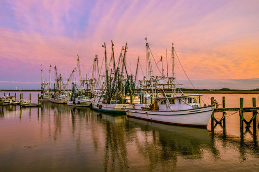Port Royal 3