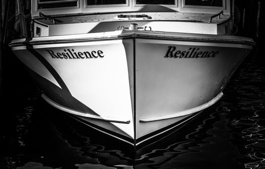 Resilience 2