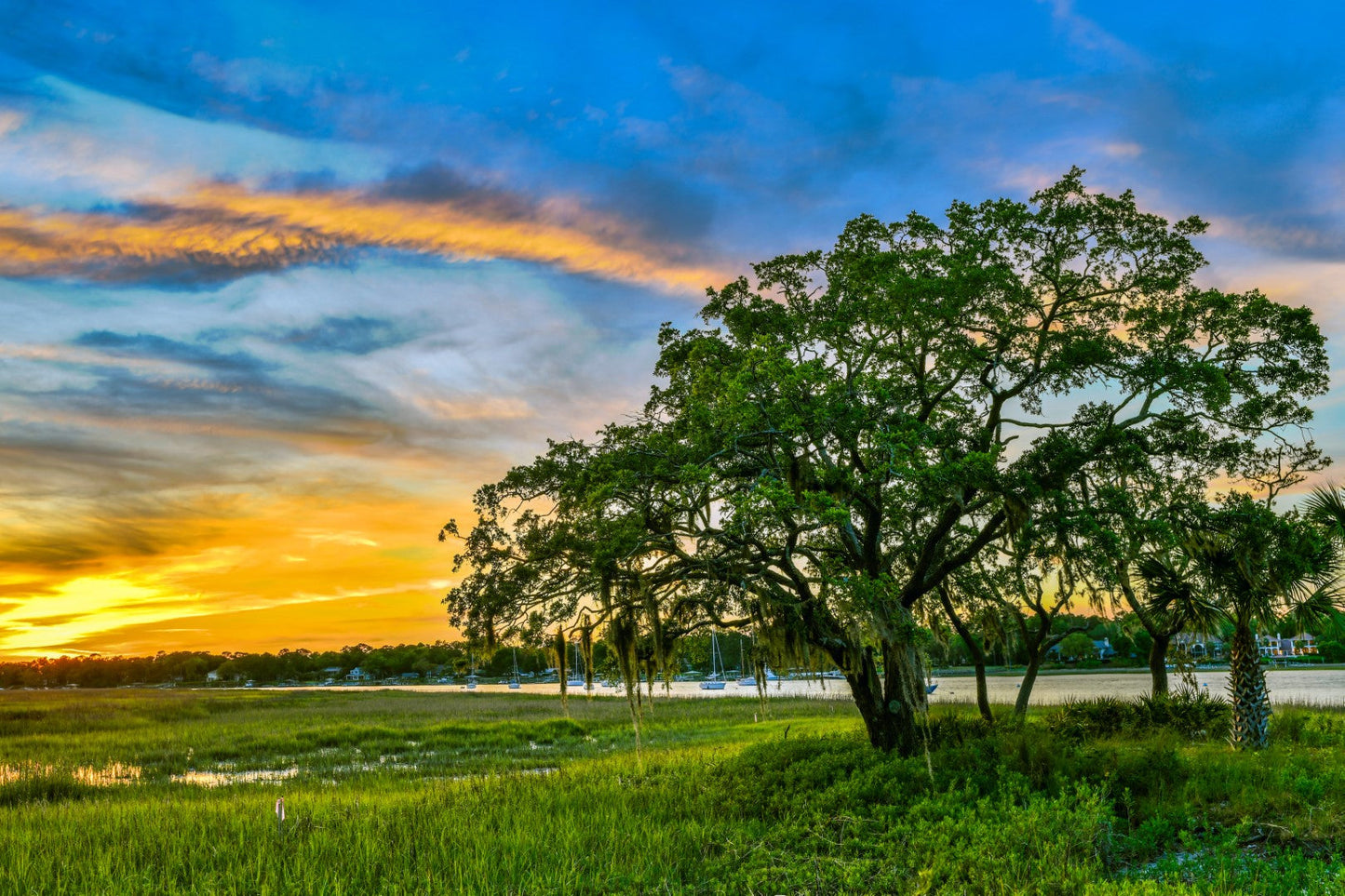 Hilton Head Marsh 1