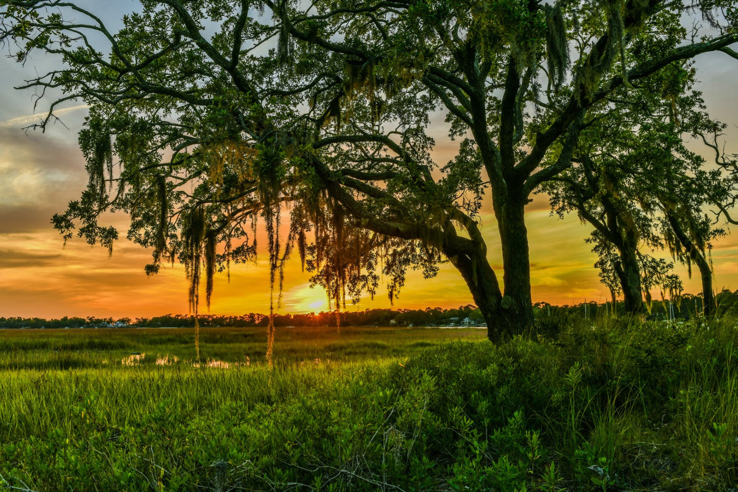 Hilton Head Marsh 2