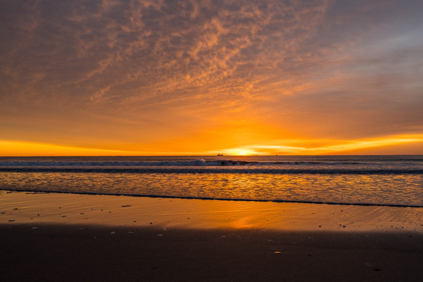 Scarborough 6