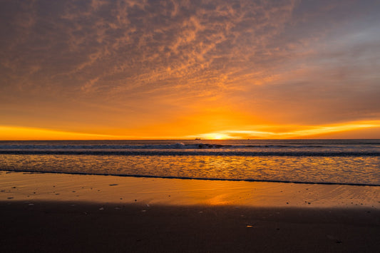 Scarborough 6