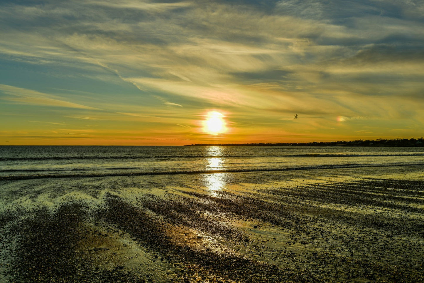 Second Beach 4