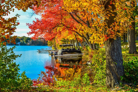 Smithfield Fall 1