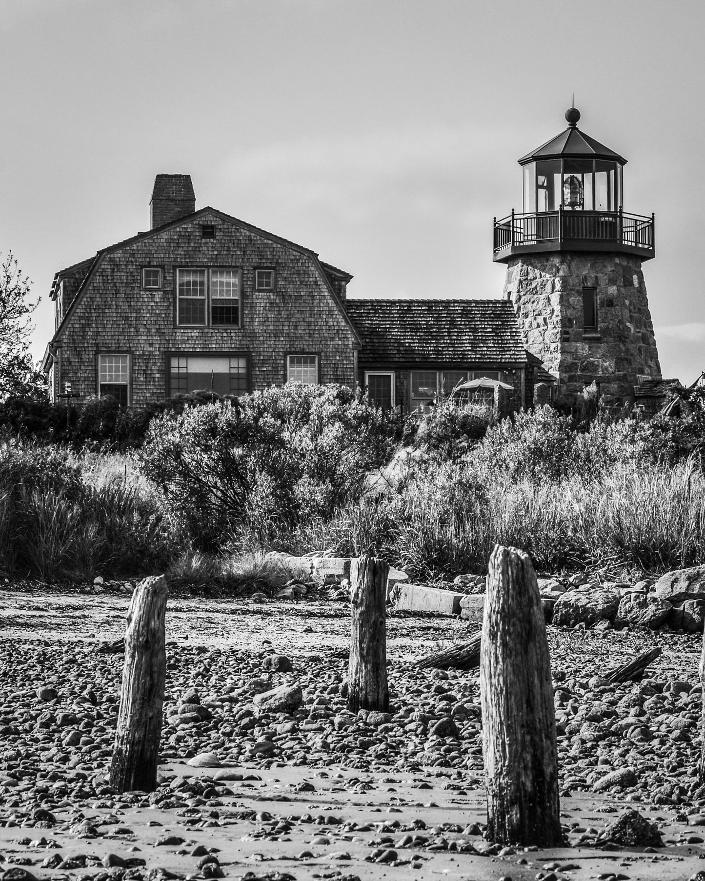 Snug Harbor Light 4