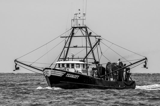 Tenacity 29